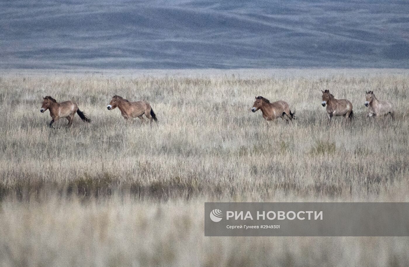 Рабочая поездка президента РФ В. Путина в Оренбургскую область