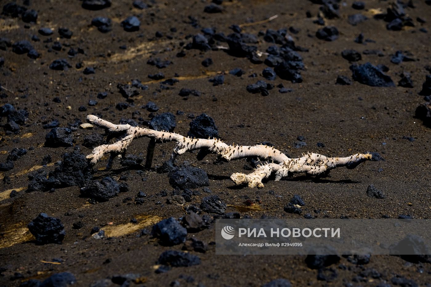 Остров Файал