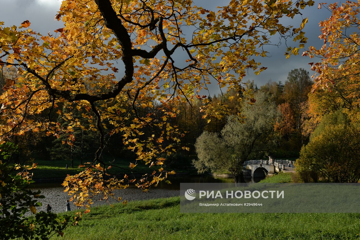 Золотая осень в Павловске