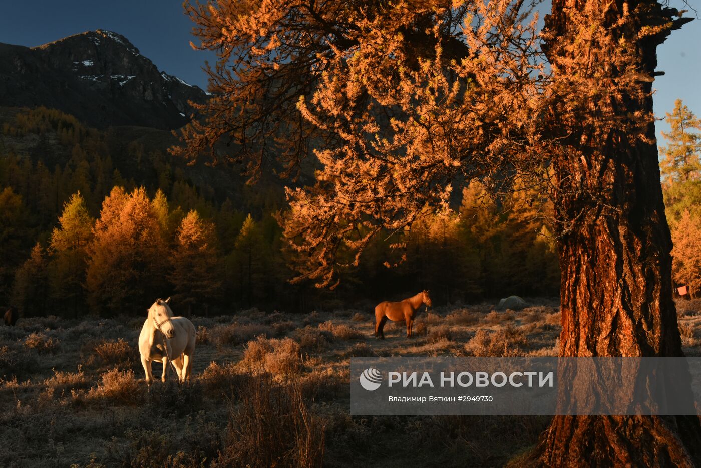 Осень в Горном Алтае