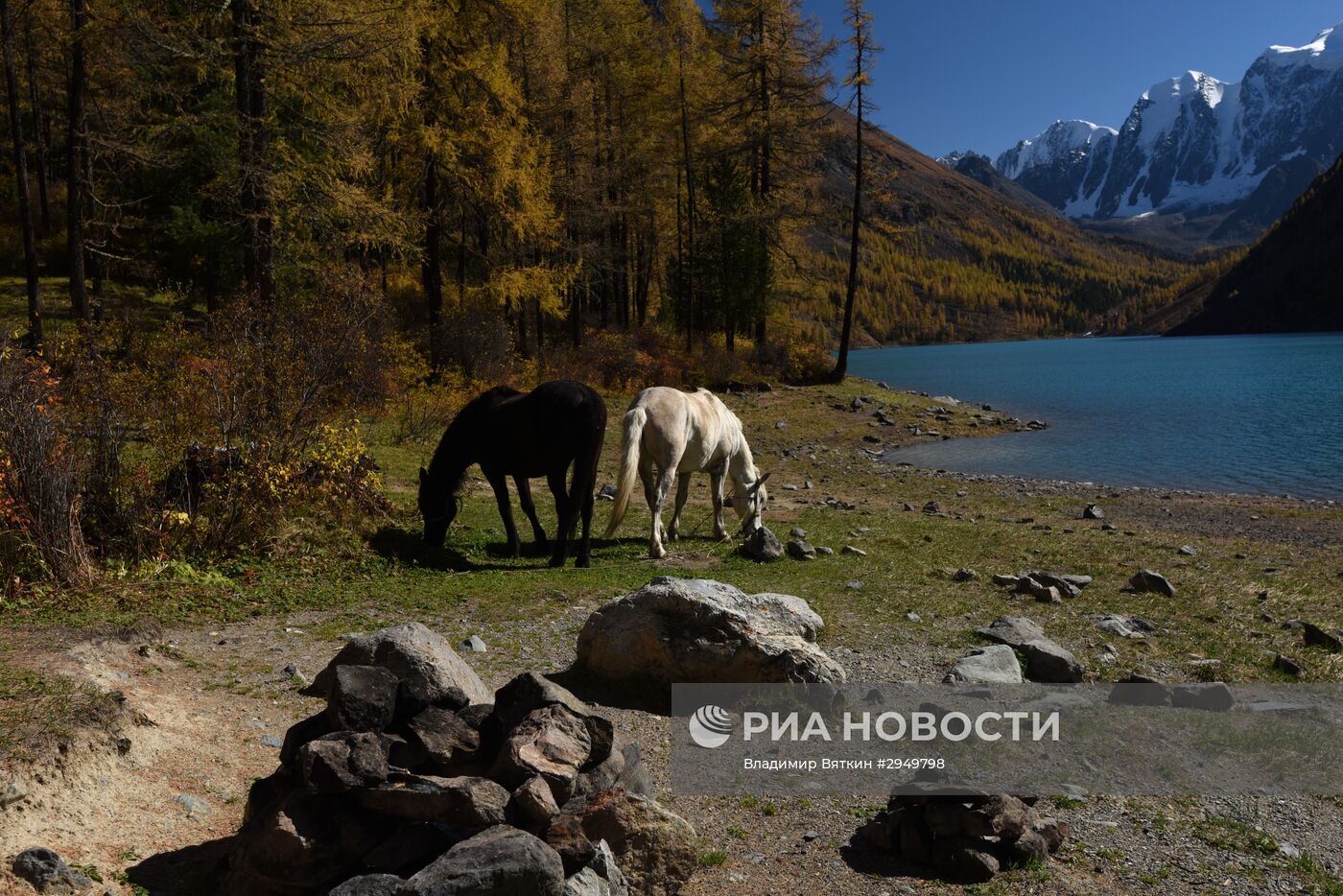 Осень в Горном Алтае