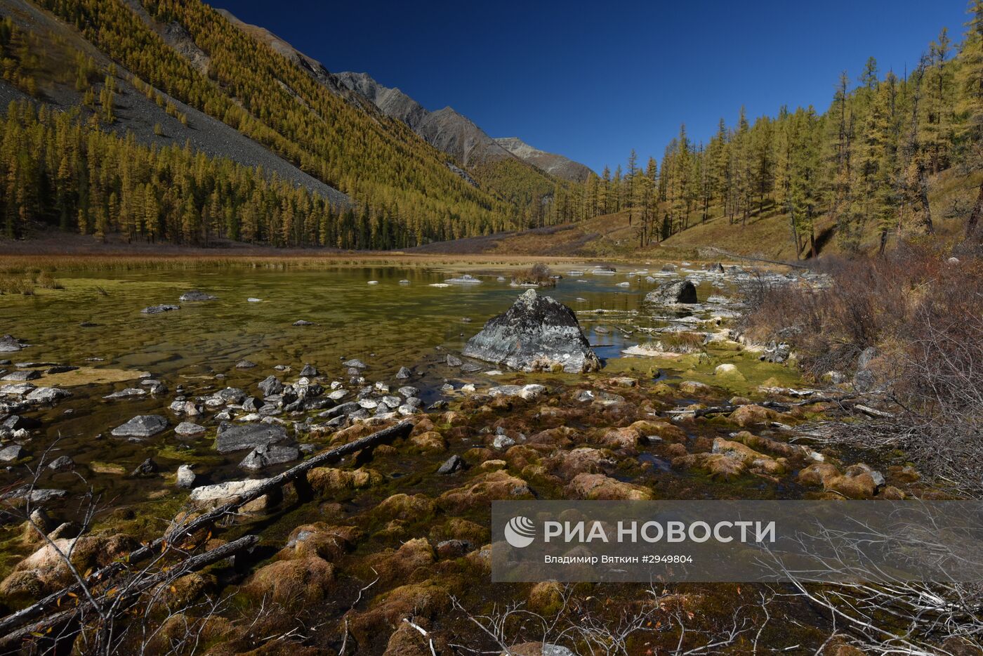 Осень в Горном Алтае