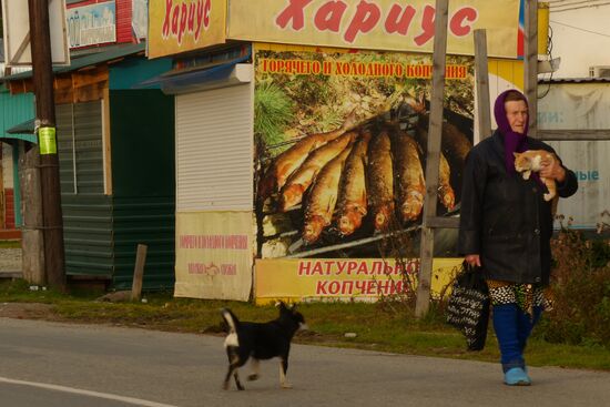 Осень в Горном Алтае