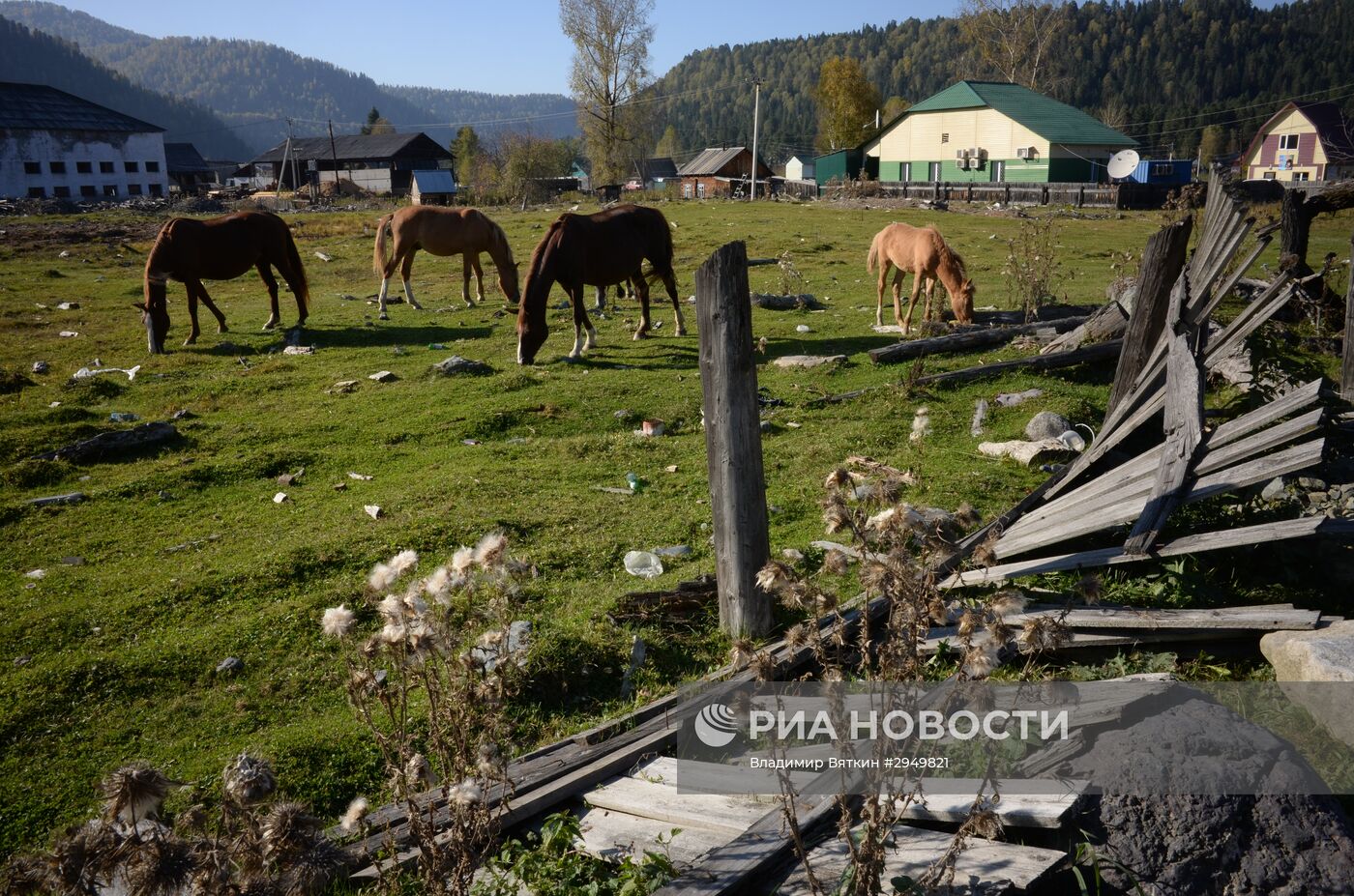 Осень в Горном Алтае