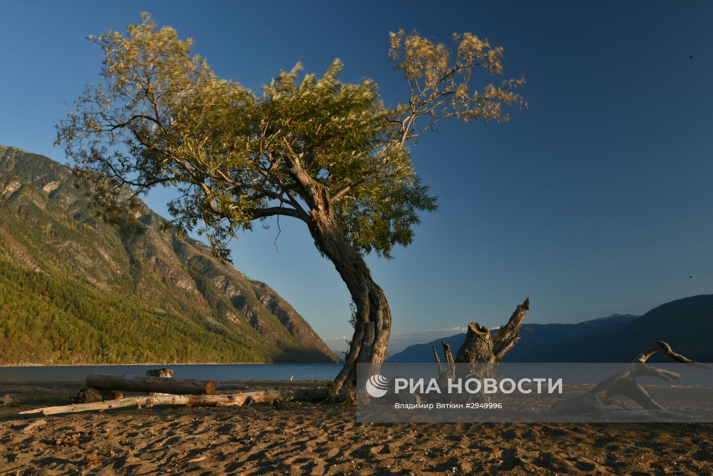 Осень в Горном Алтае