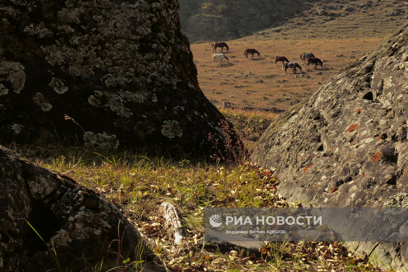 Осень в Горном Алтае