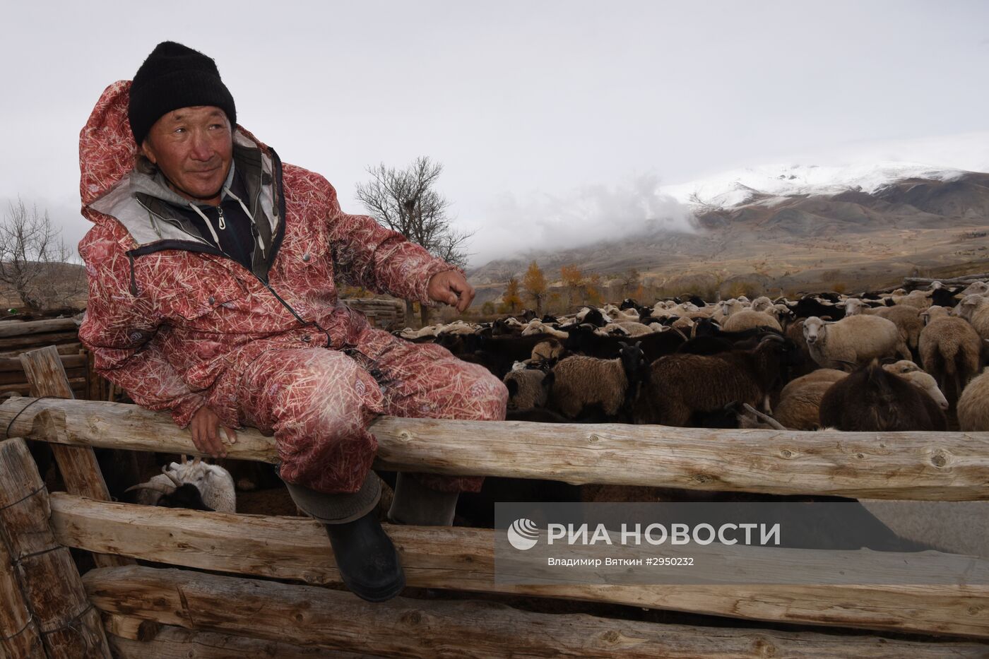 Осень в Горном Алтае