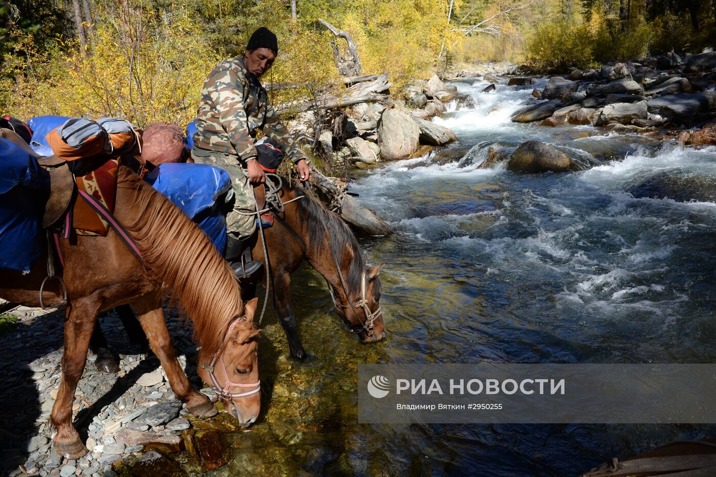 Осень в Горном Алтае