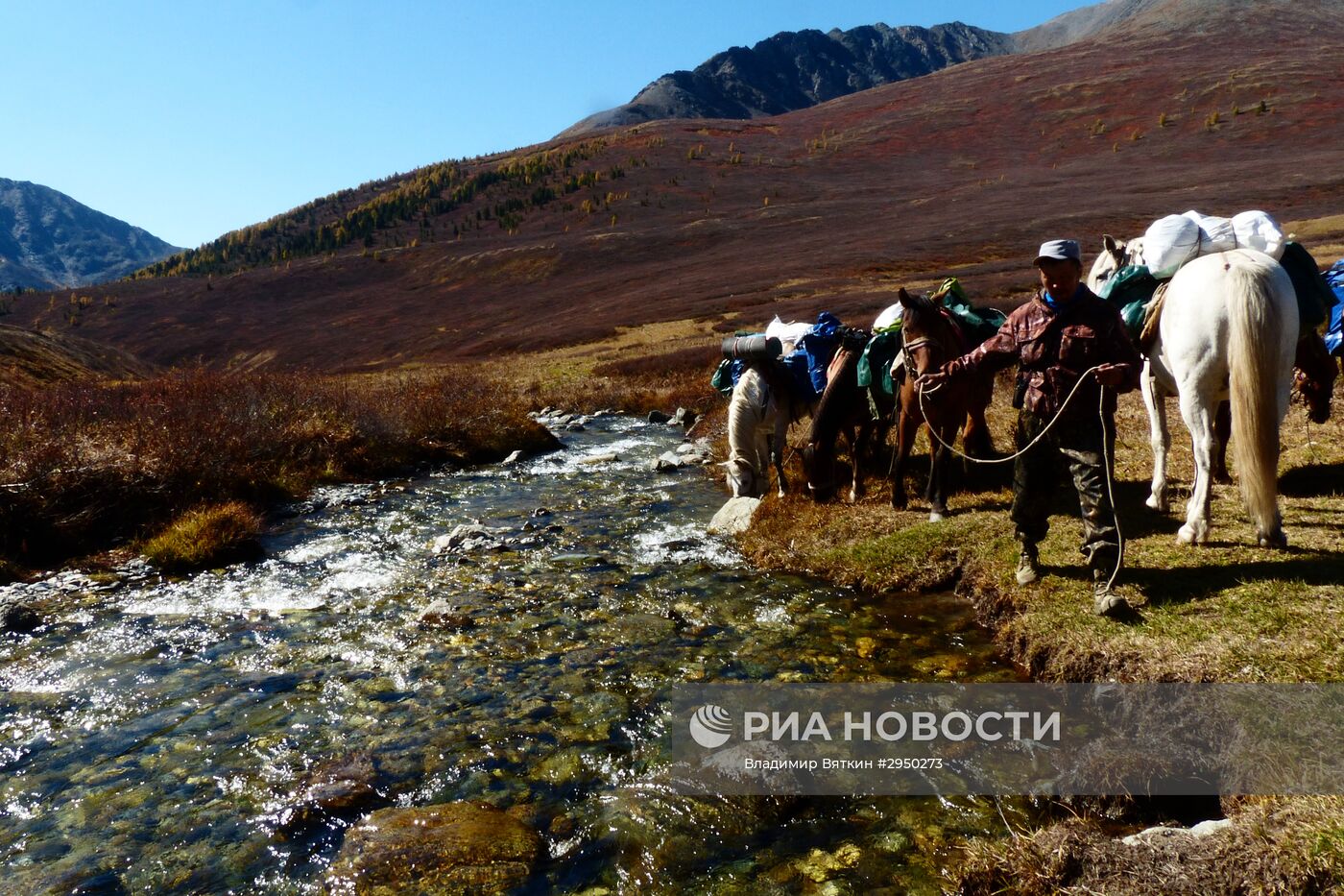 Осень в Горном Алтае