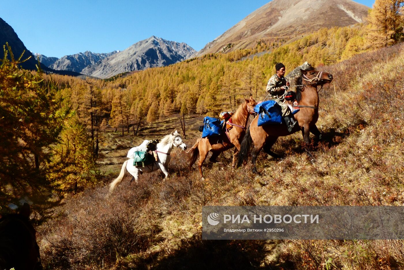 Осень в Горном Алтае