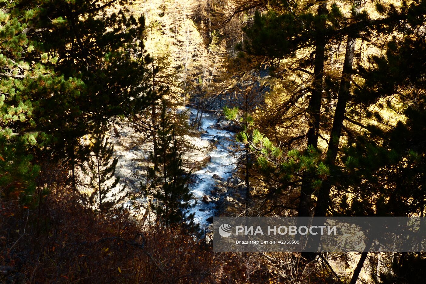 Осень в Горном Алтае