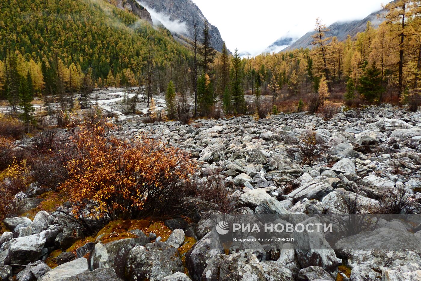 Осень в Горном Алтае