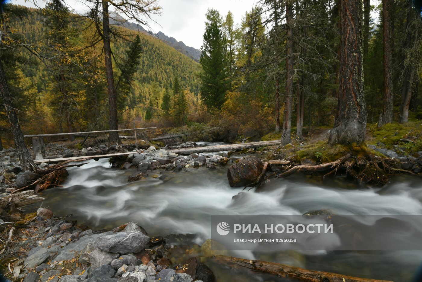 Осень в Горном Алтае