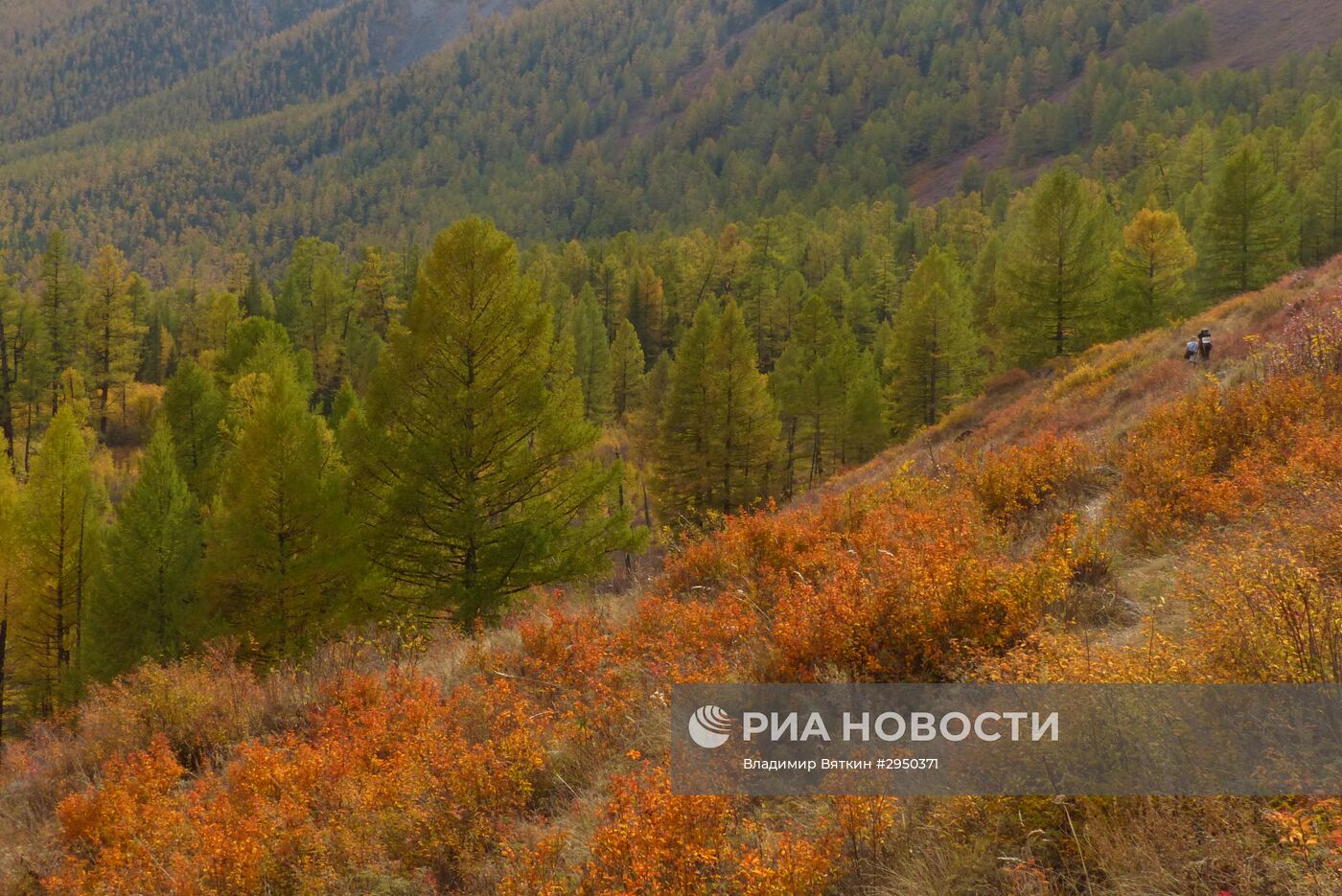 Осень в Горном Алтае