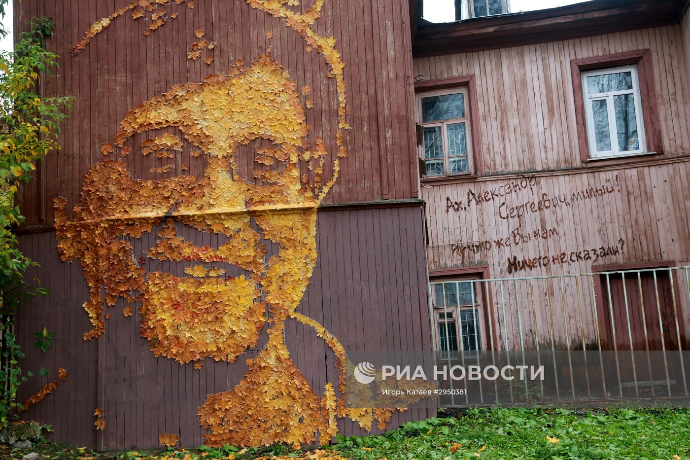 Уличный художник создал в Перми портрет Юрия Шевчука из осенних листьев