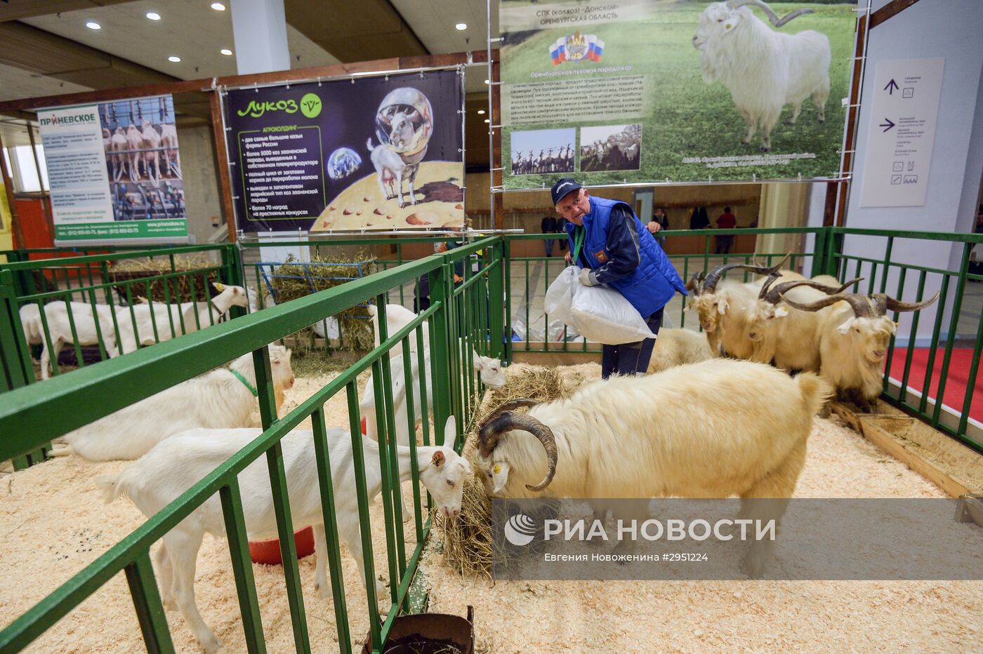 18-я Российская агропромышленная выставка "Золотая осень"