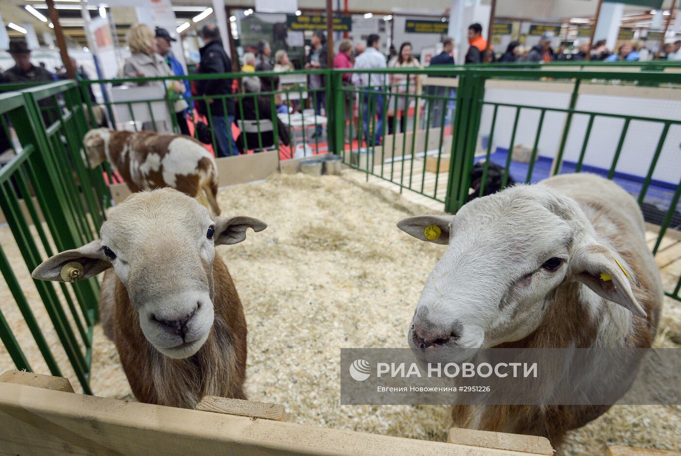 18-я Российская агропромышленная выставка "Золотая осень"