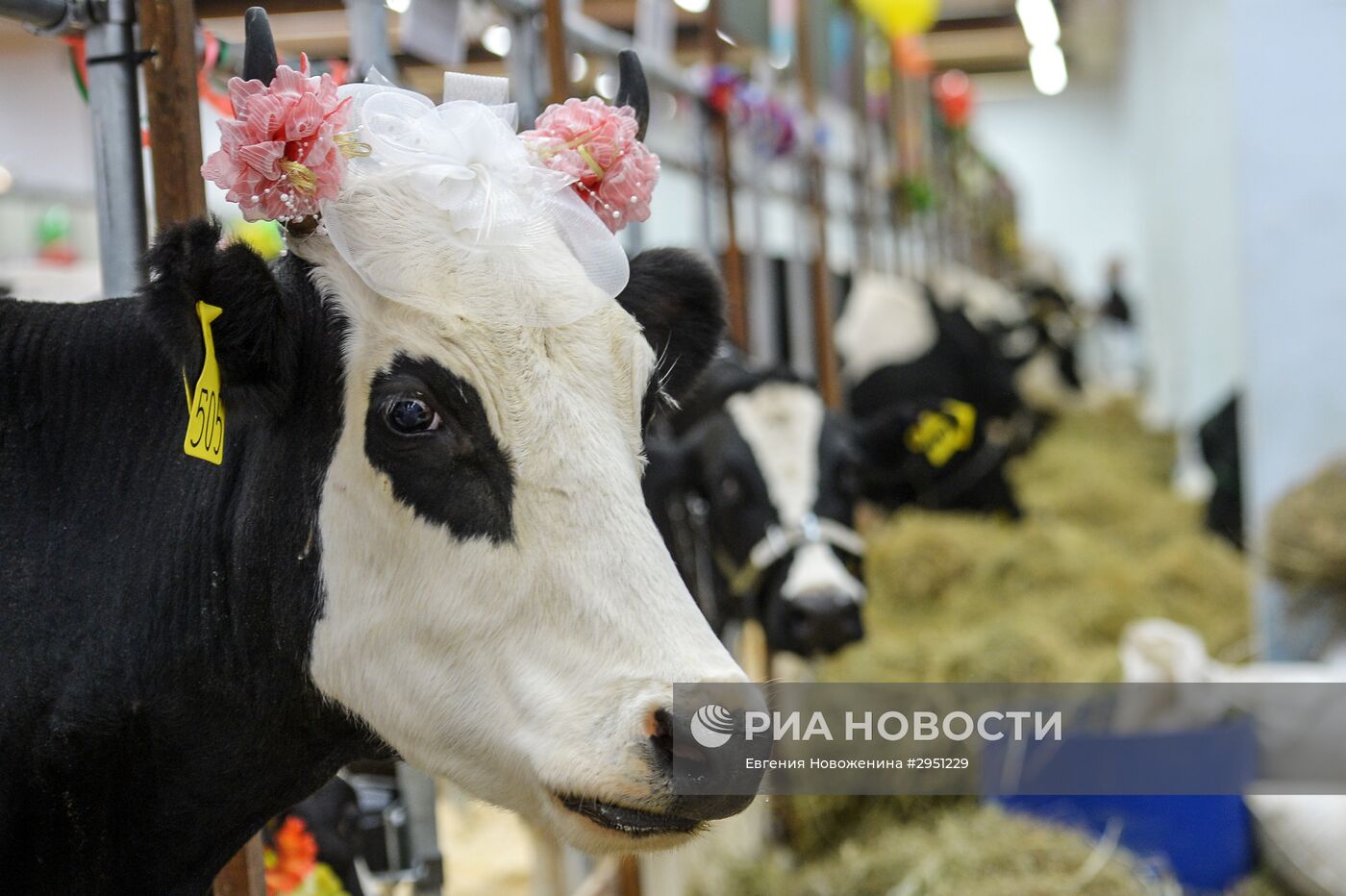 18-я Российская агропромышленная выставка "Золотая осень"