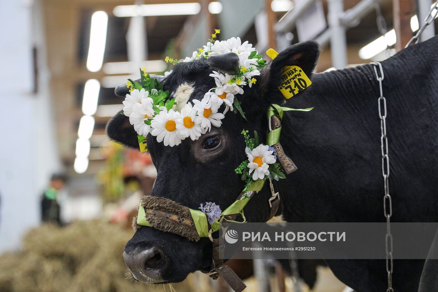 18-я Российская агропромышленная выставка "Золотая осень"