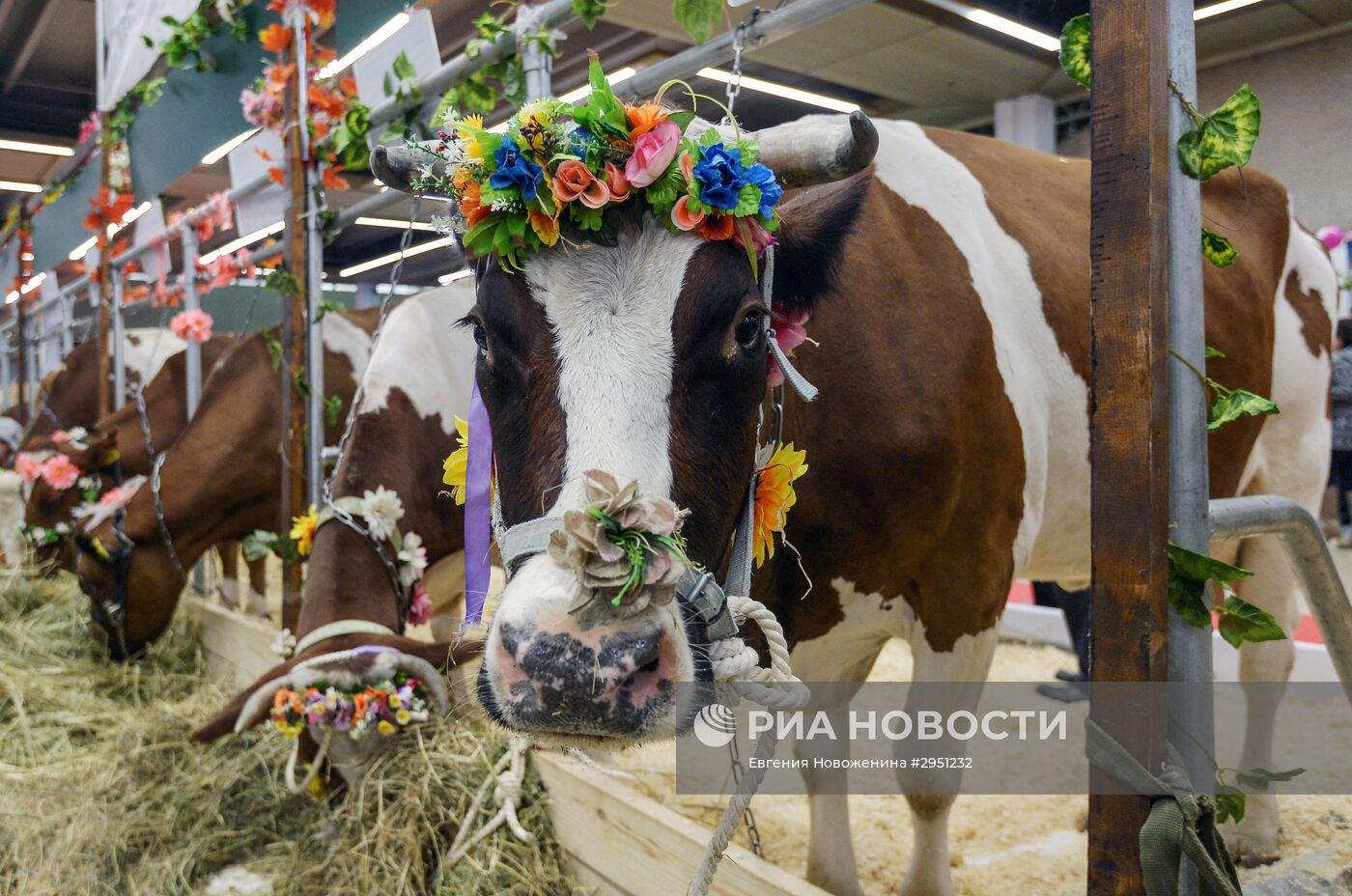 18-я Российская агропромышленная выставка "Золотая осень"