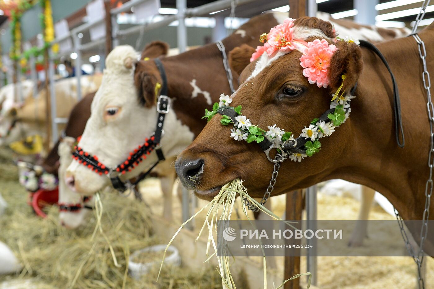 18-я Российская агропромышленная выставка "Золотая осень"