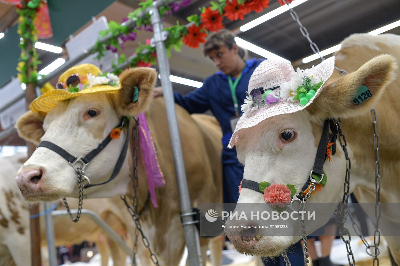 18-я Российская агропромышленная выставка "Золотая осень"