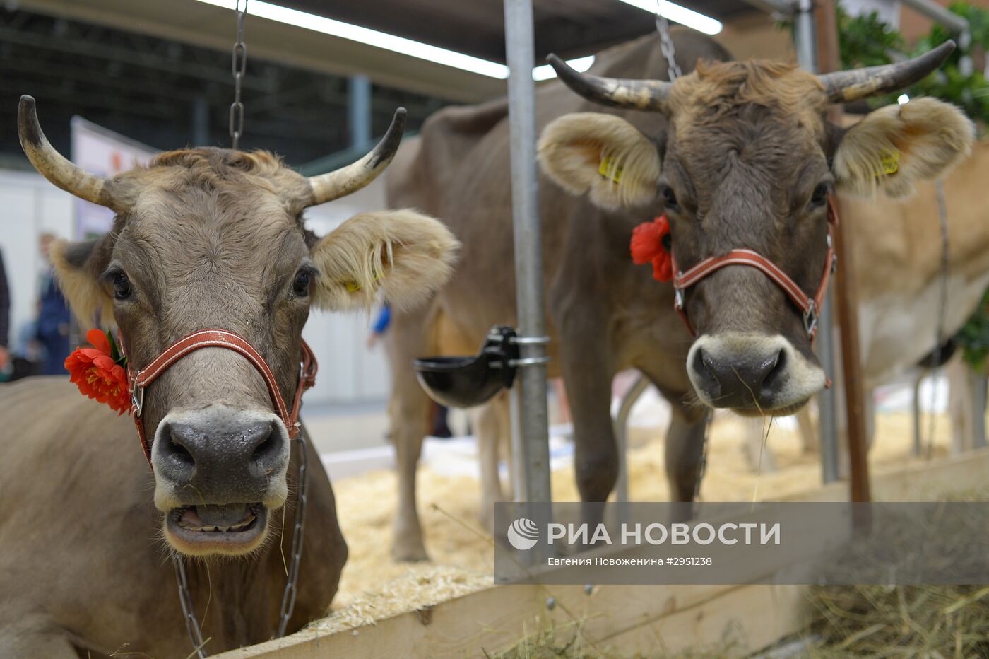 18-я Российская агропромышленная выставка "Золотая осень"