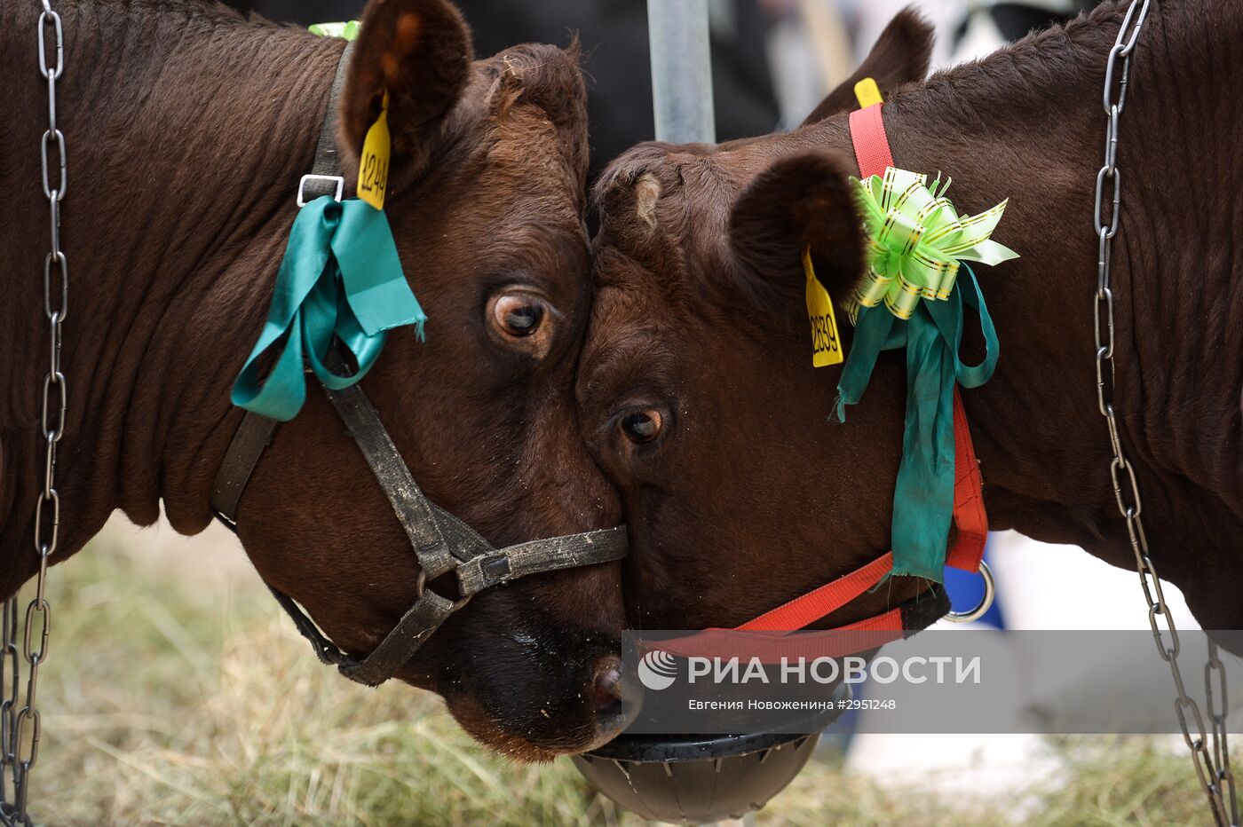 18-я Российская агропромышленная выставка "Золотая осень"