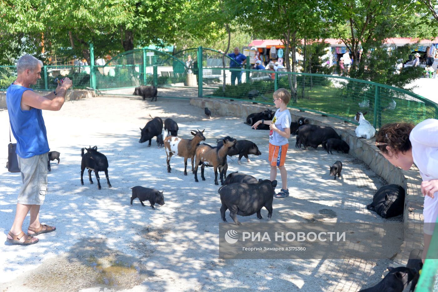 Сафари-парк "Тайган" в Крыму