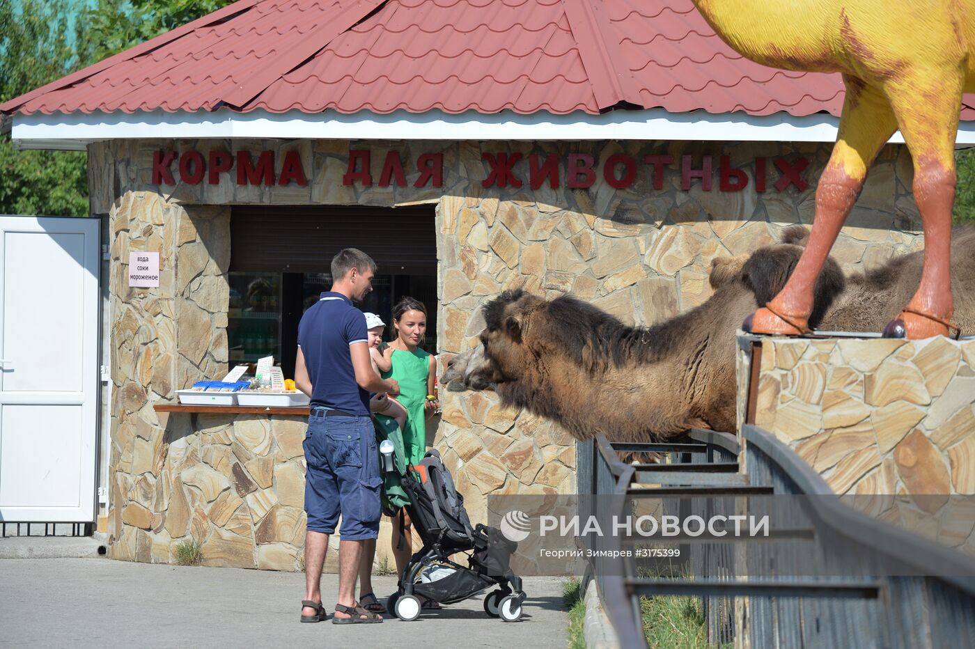 Сафари-парк "Тайган" в Крыму