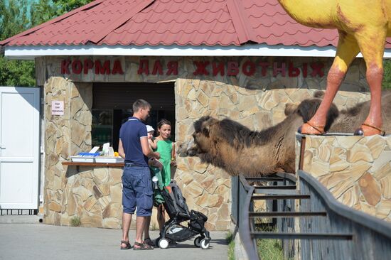 Сафари-парк "Тайган" в Крыму