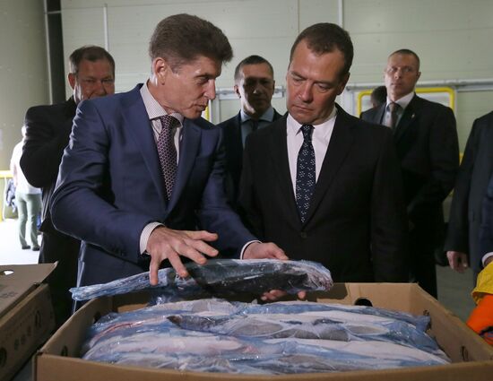 Рабочая поездка премьер-министра РФ Д. Медведева на Сахалин