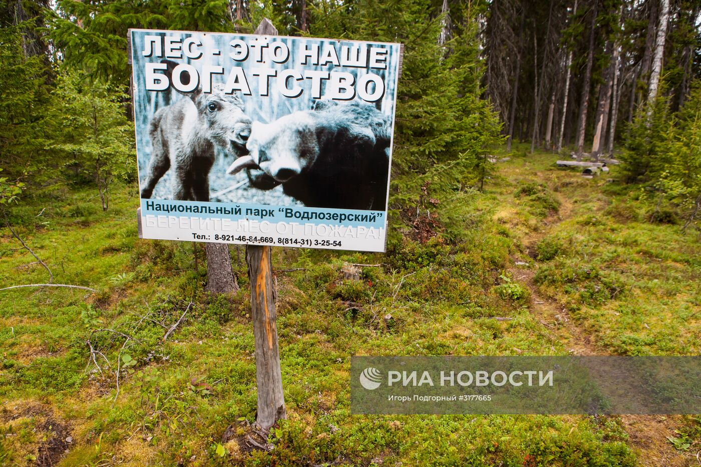 Водлозерский национальный парк в Архангельской области