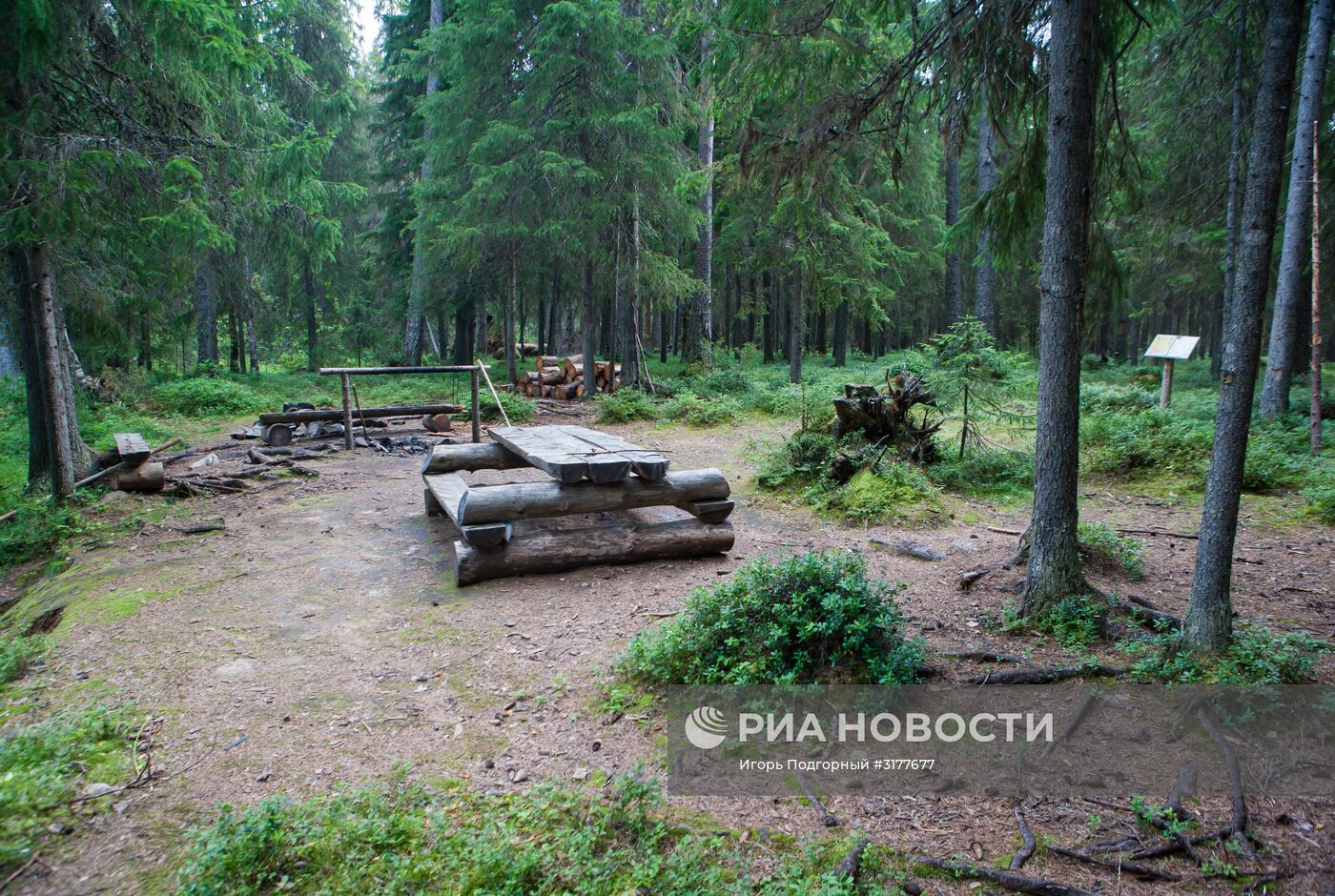 Водлозерский национальный парк в Архангельской области