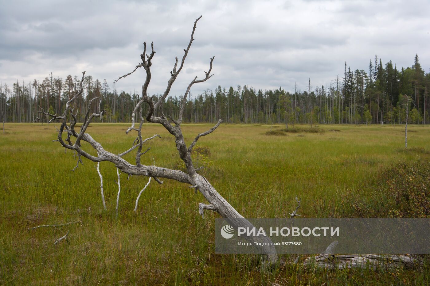 Водлозерский национальный парк в Архангельской области