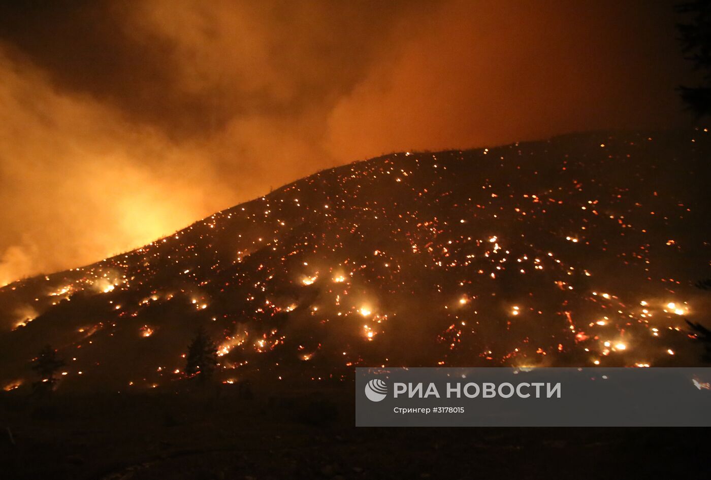 Последствия лесных пожаров в Грузии