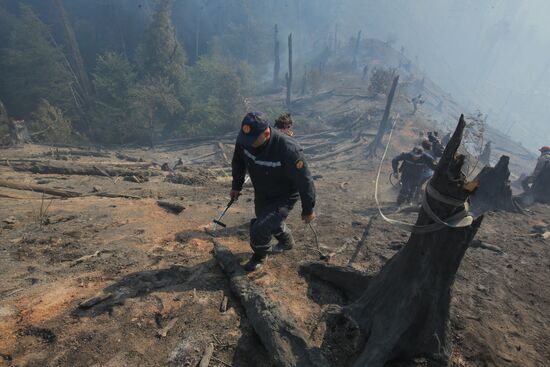 Последствия лесных пожаров в Грузии