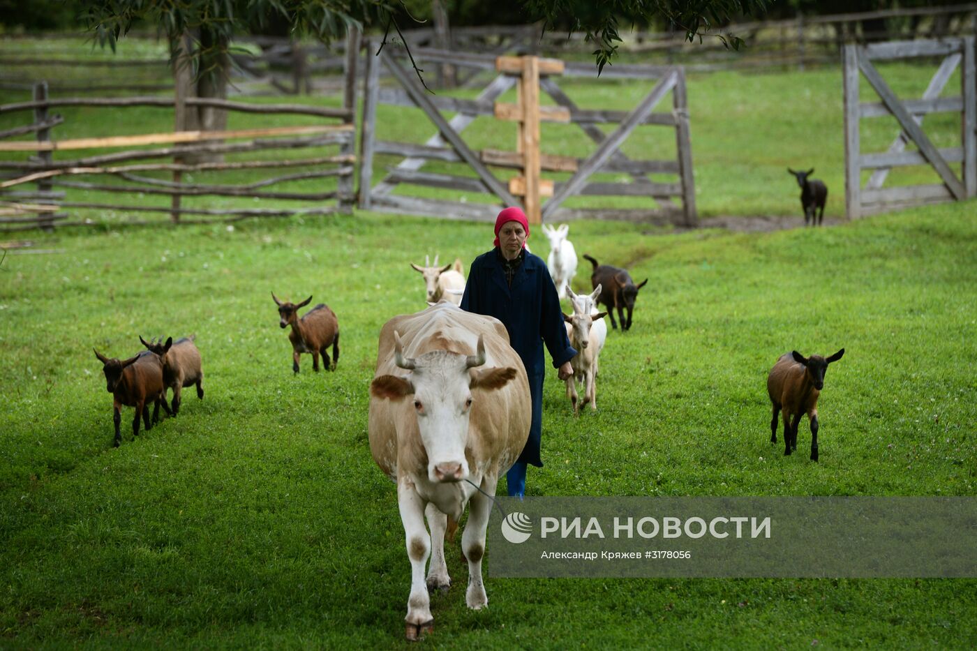 Туризм на Алтае