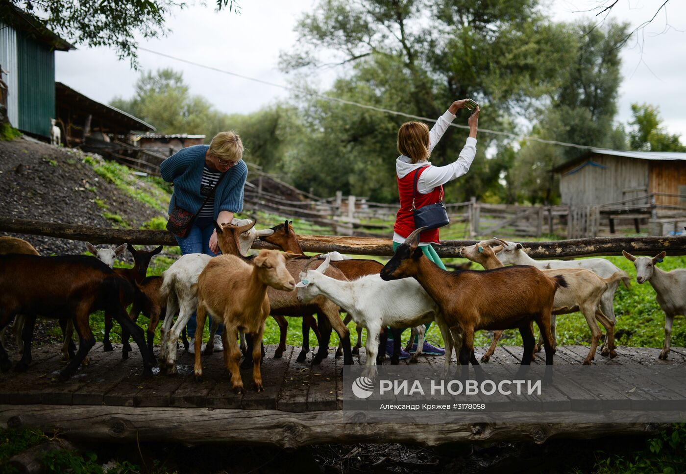 Туризм на Алтае