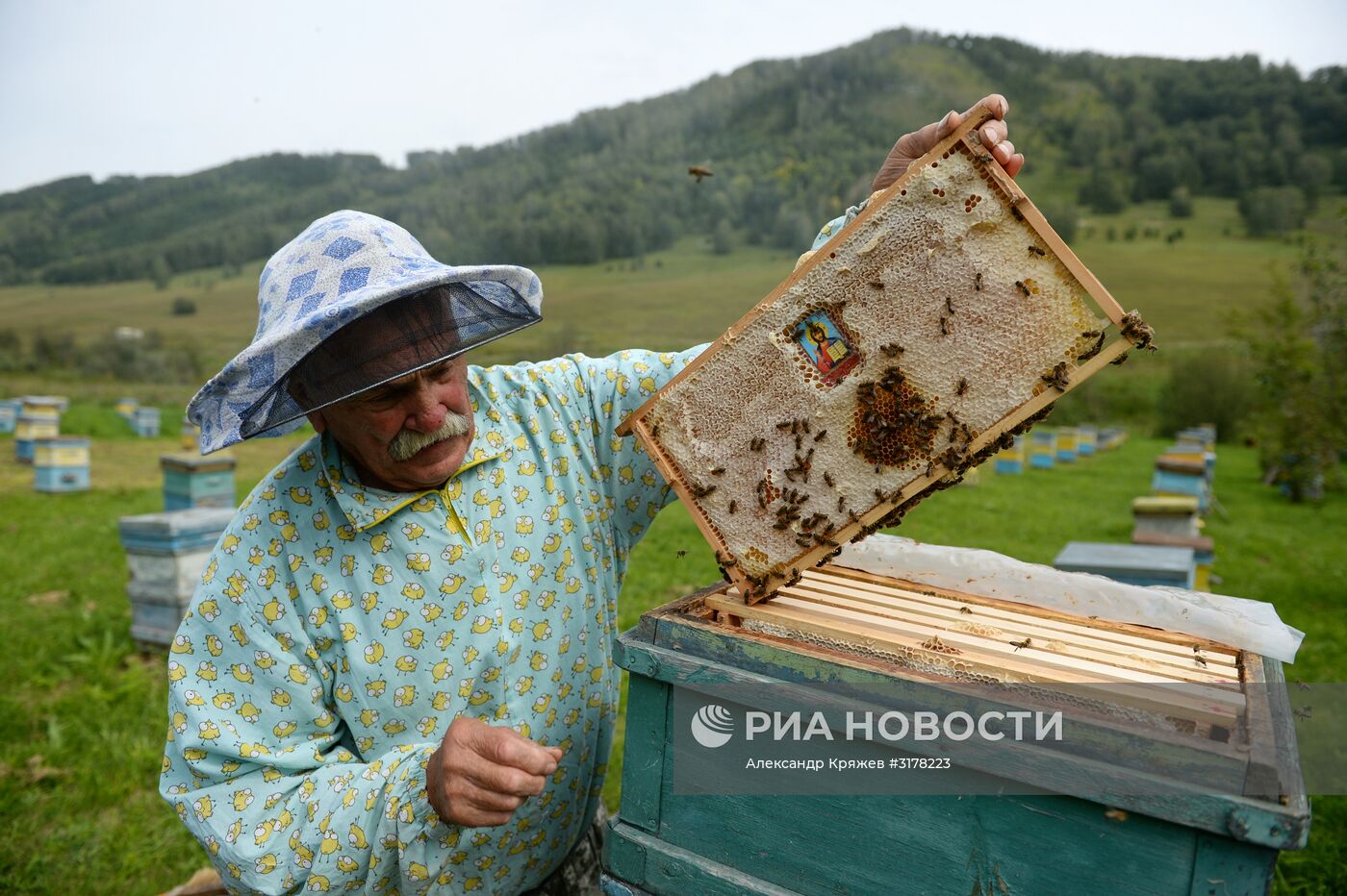 Туризм на Алтае