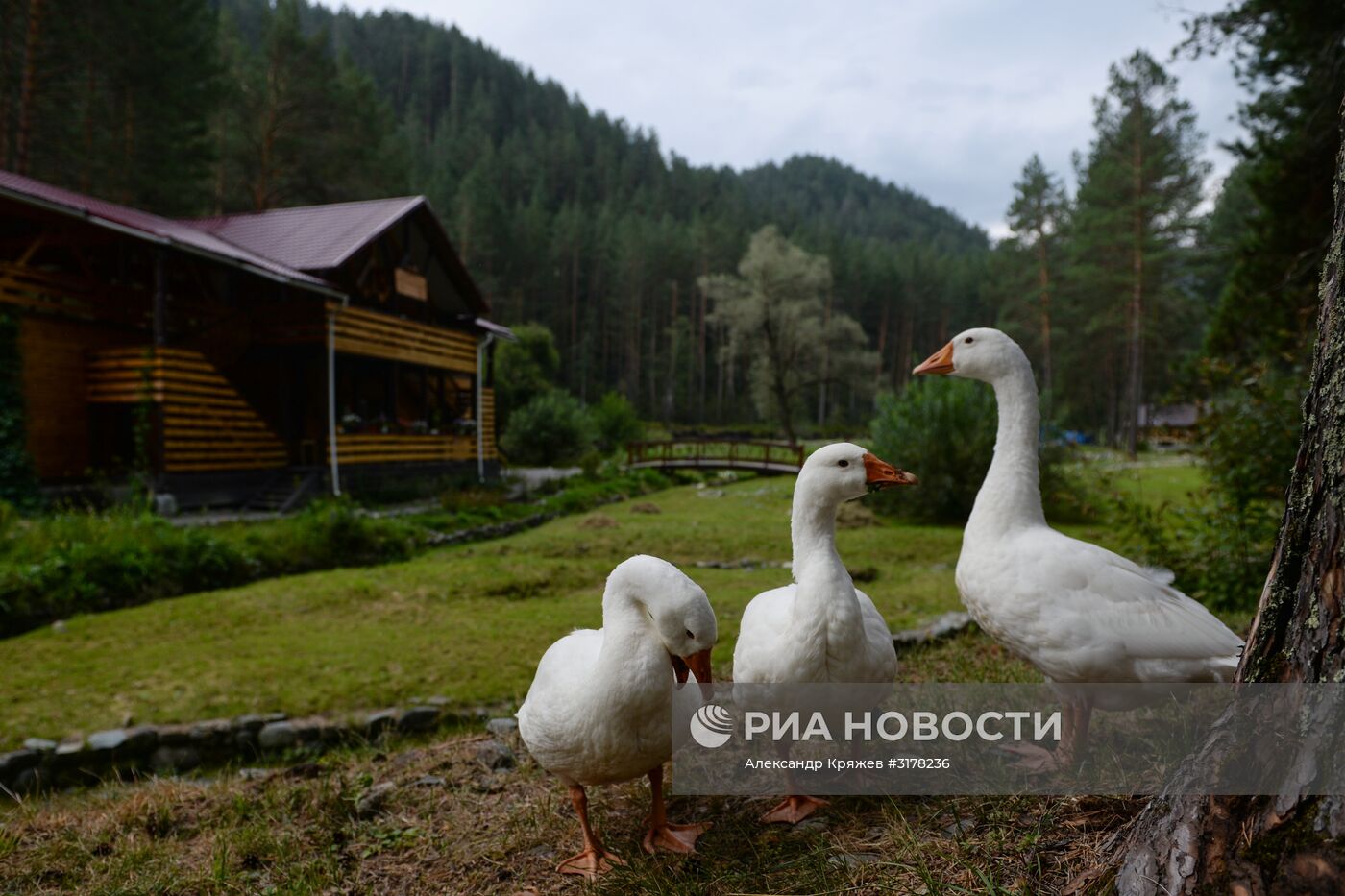 Туризм на Алтае