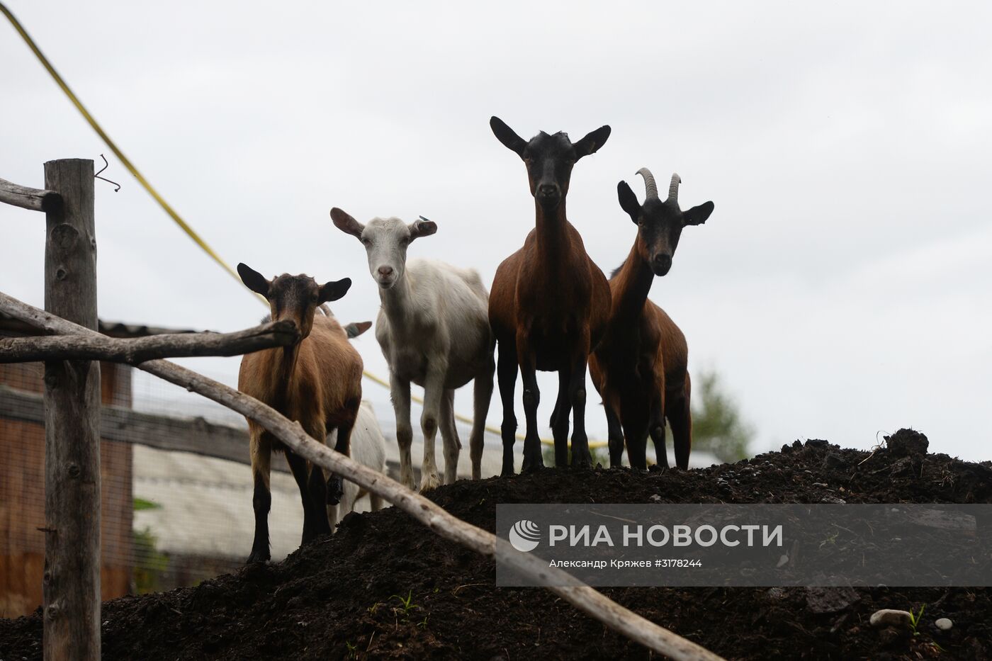 Туризм на Алтае