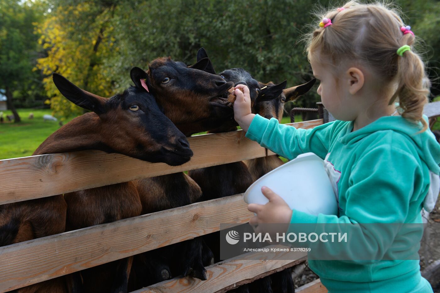 Туризм на Алтае