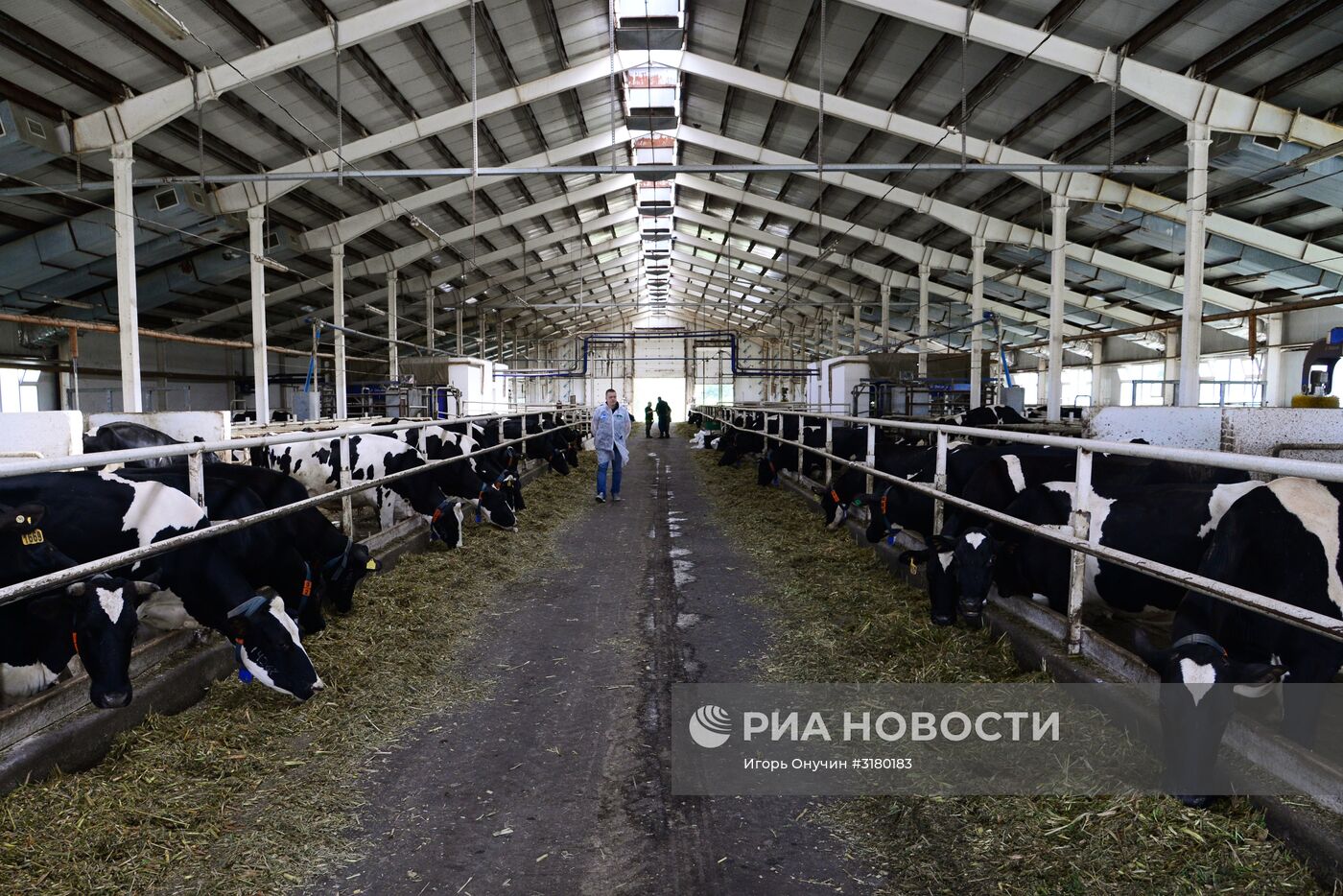 Фермерское хозяйство в Хабаровском крае