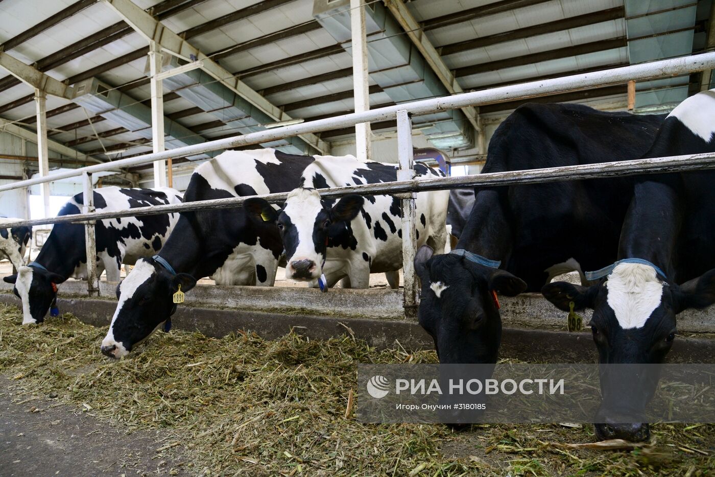 Фермерское хозяйство в Хабаровском крае