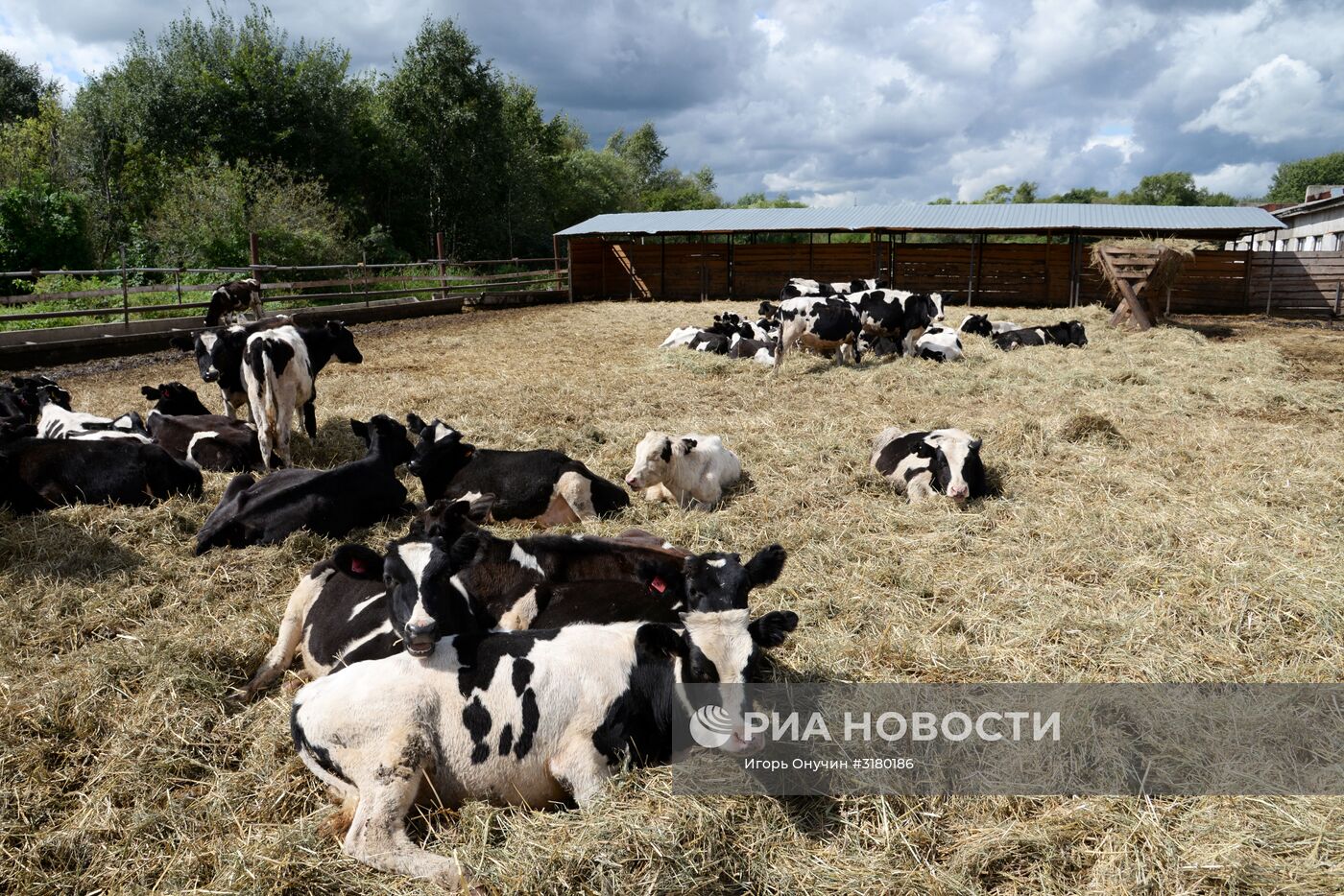 Фермерское хозяйство в Хабаровском крае