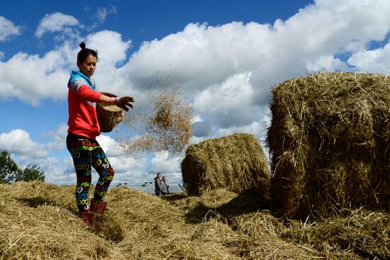 Фермерское хозяйство в Хабаровском крае