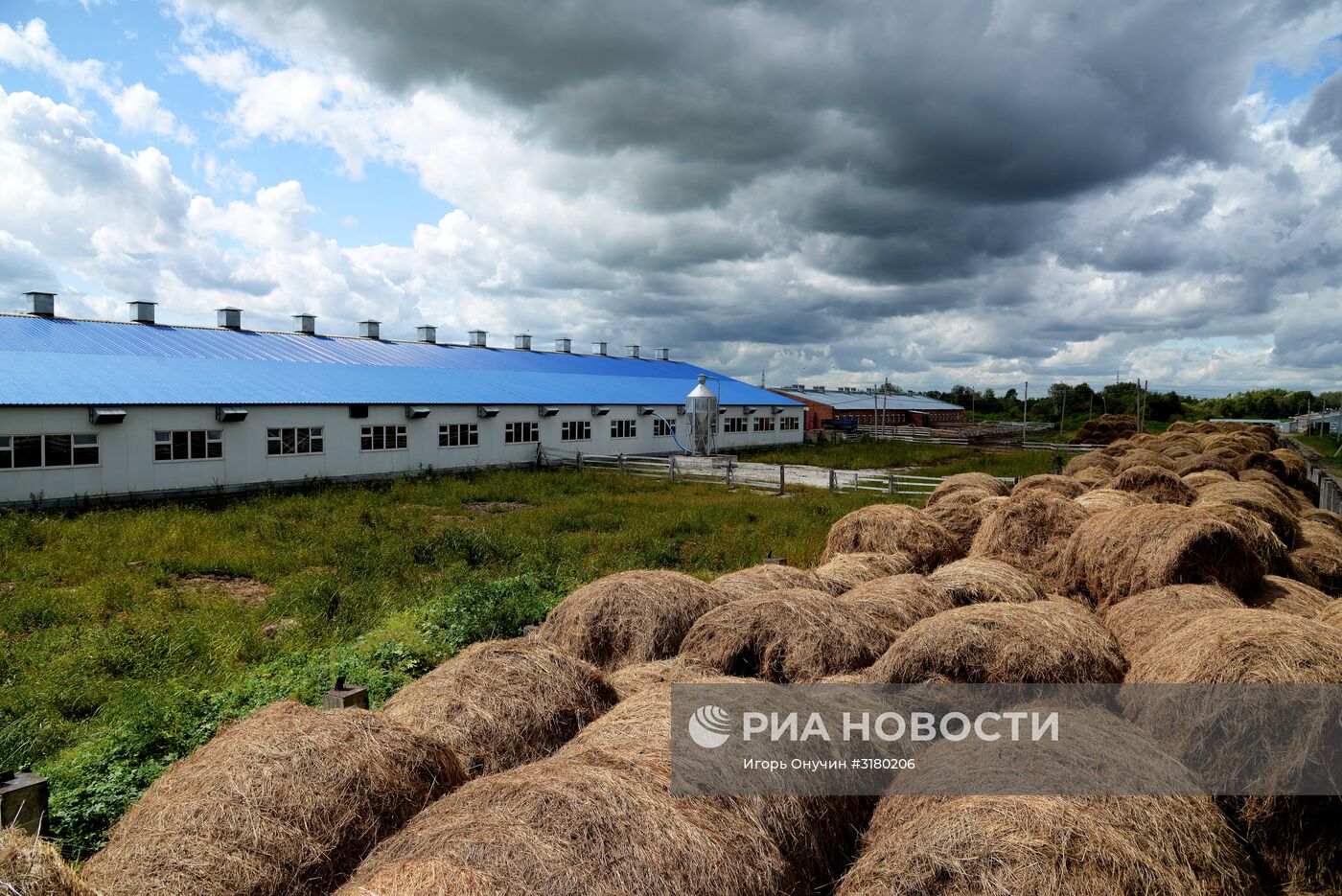 Фермерское хозяйство в Хабаровском крае