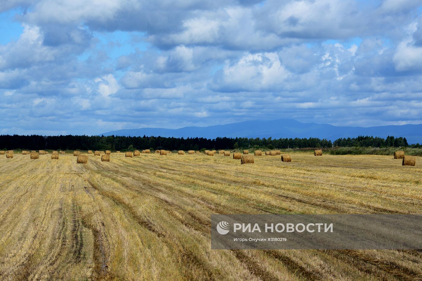 Фермерское хозяйство в Хабаровском крае