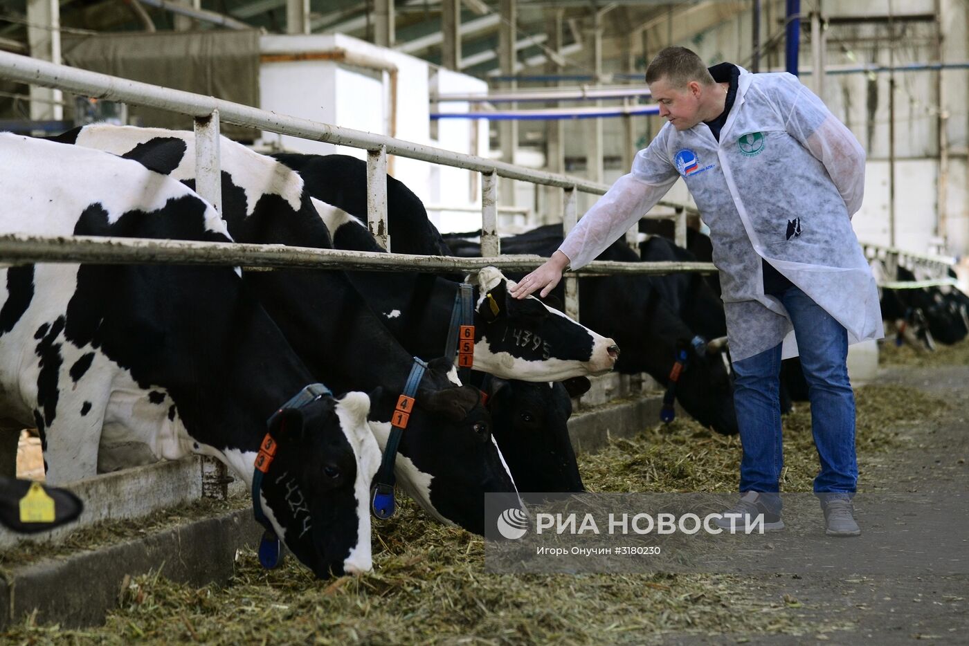 Фермерское хозяйство в Хабаровском крае